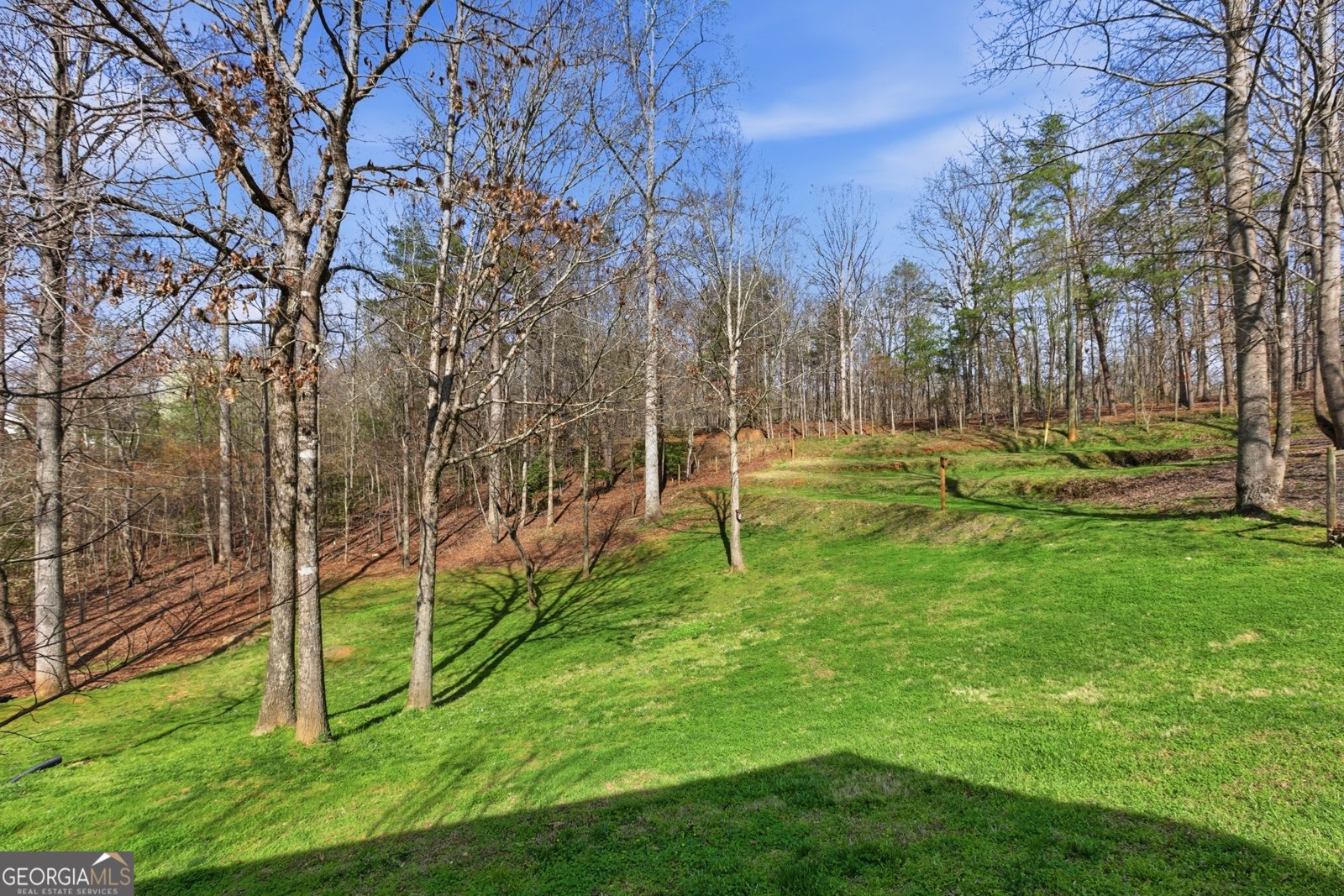 498 Deer Track Road Cornelia - Photo 14