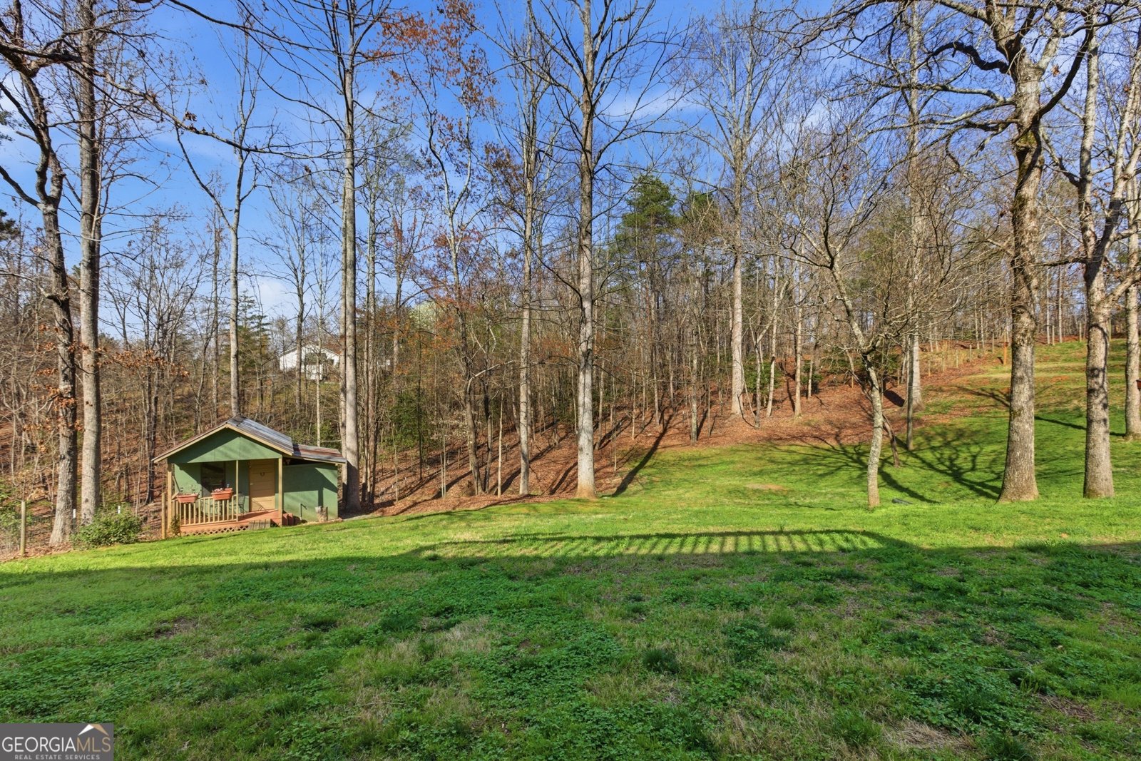 498 Deer Track Road Cornelia - Photo 47
