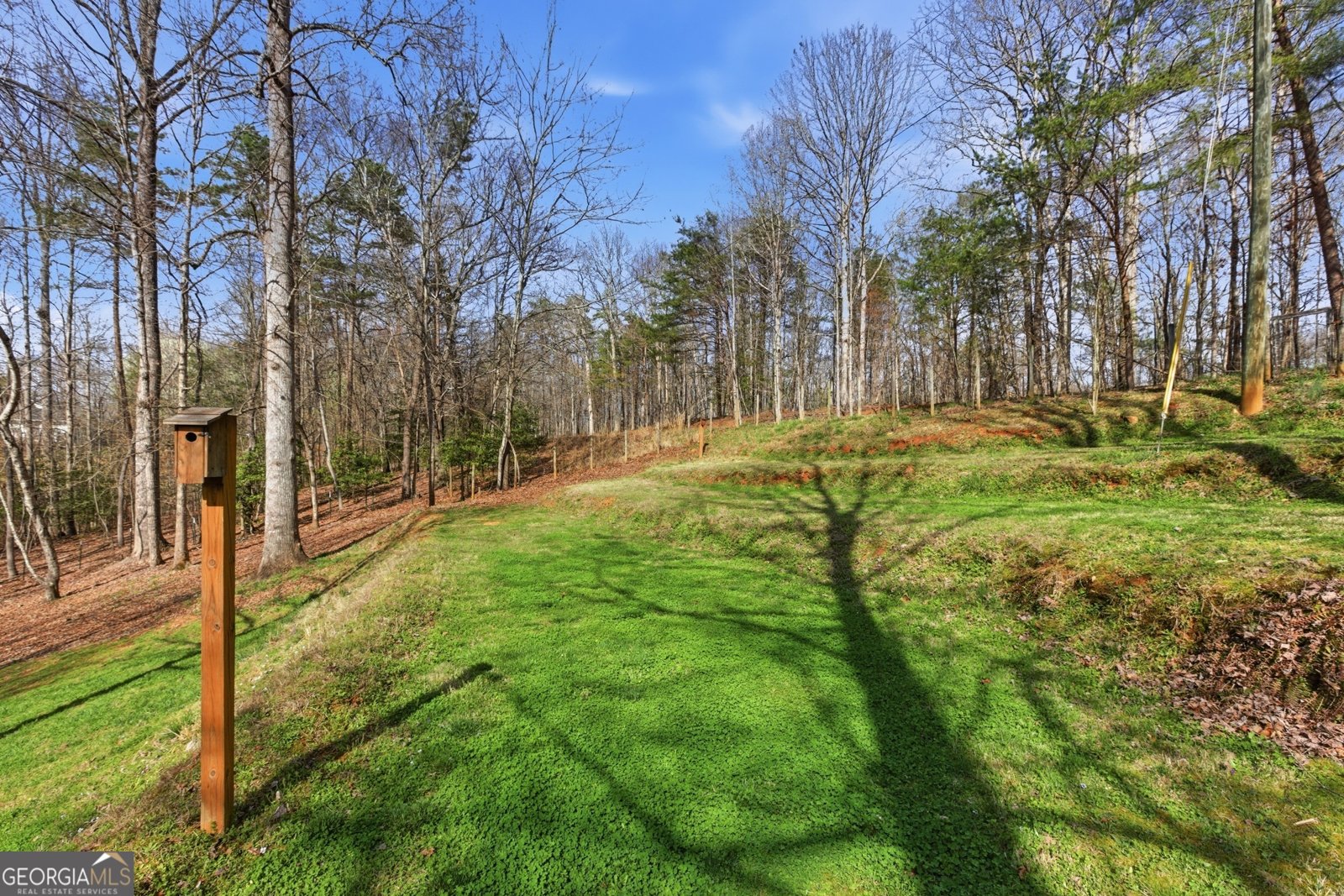 498 Deer Track Road Cornelia - Photo 51