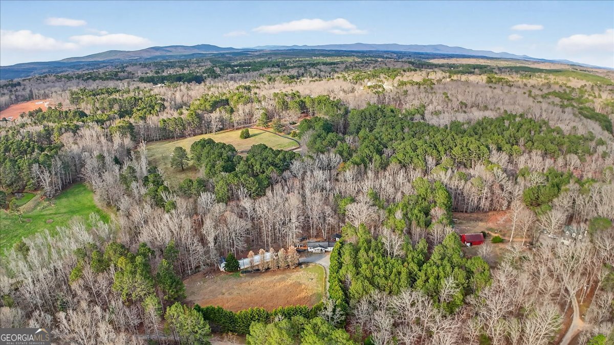 323 Ball Field Road Waleska - Photo 23