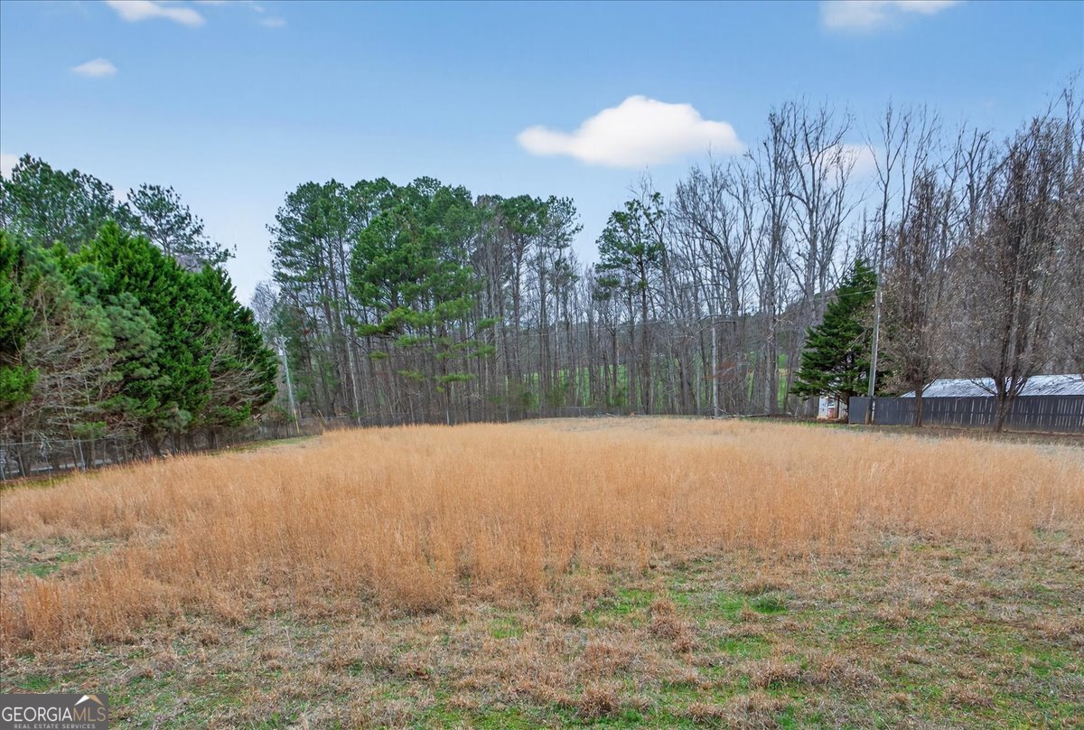 323 Ball Field Road Waleska - Photo 31