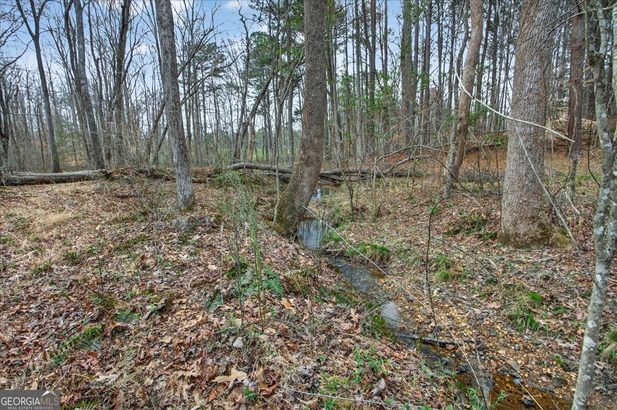 323 Ball Field Road Waleska - Photo 38