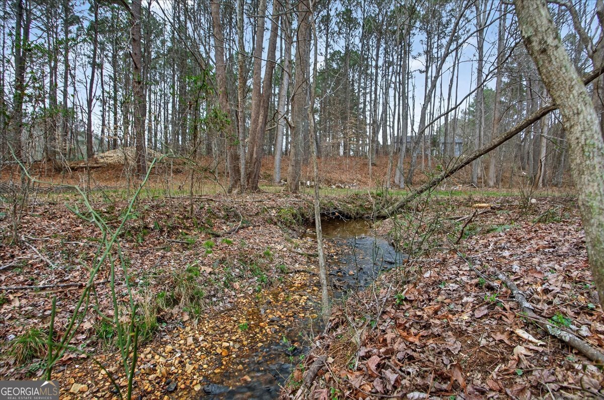 323 Ball Field Road Waleska - Photo 39