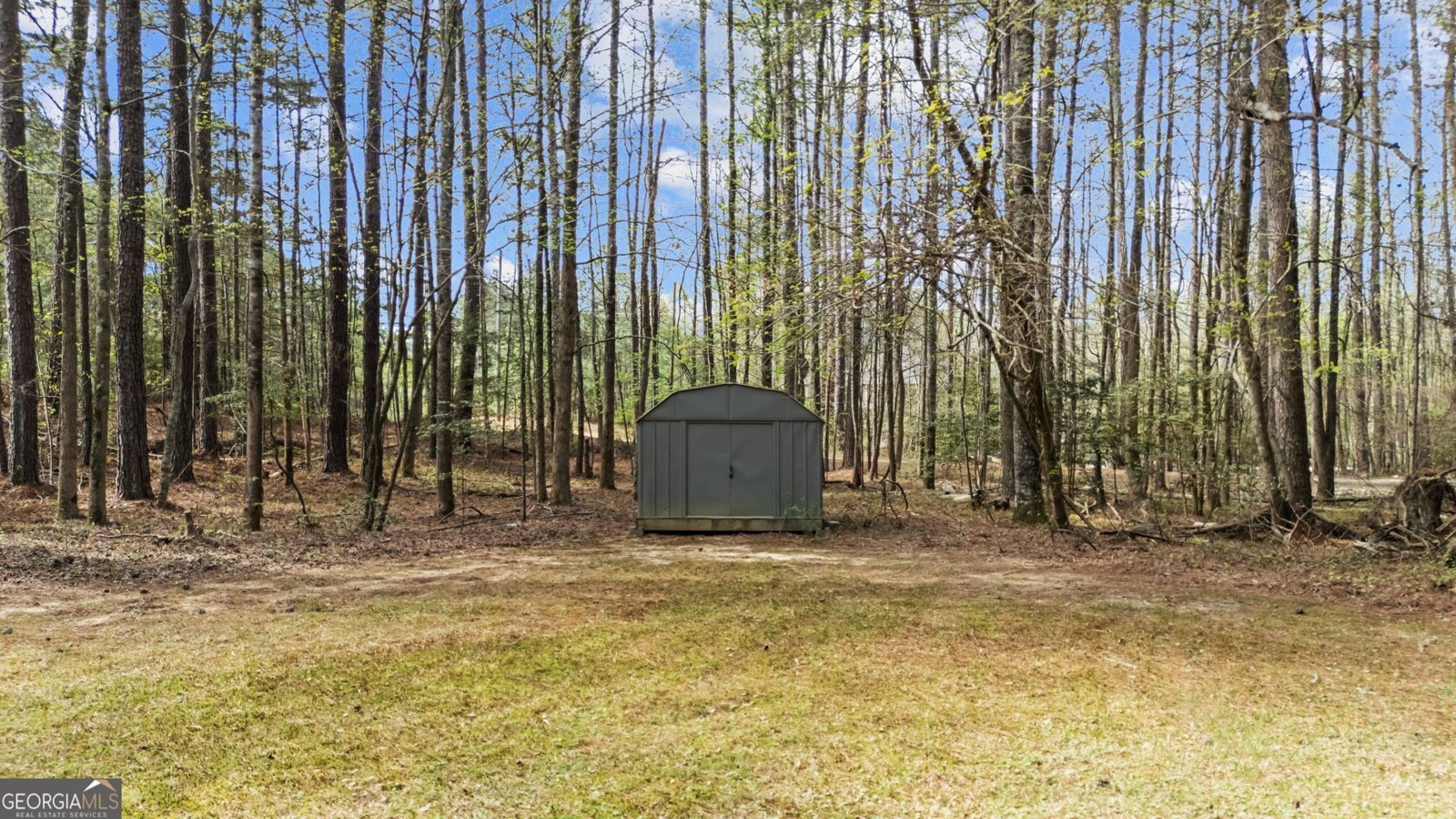 1601 Piney Grove Road Loganville - Photo 25