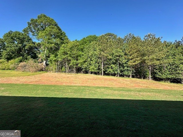 145 Paislee Park Drive Fayetteville - Photo 17