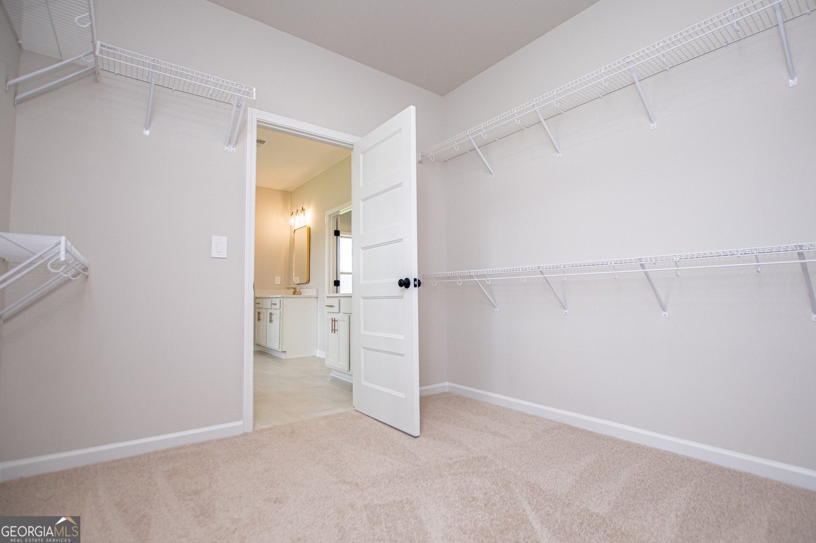 126 Woodford Drive Roopville - Photo 72