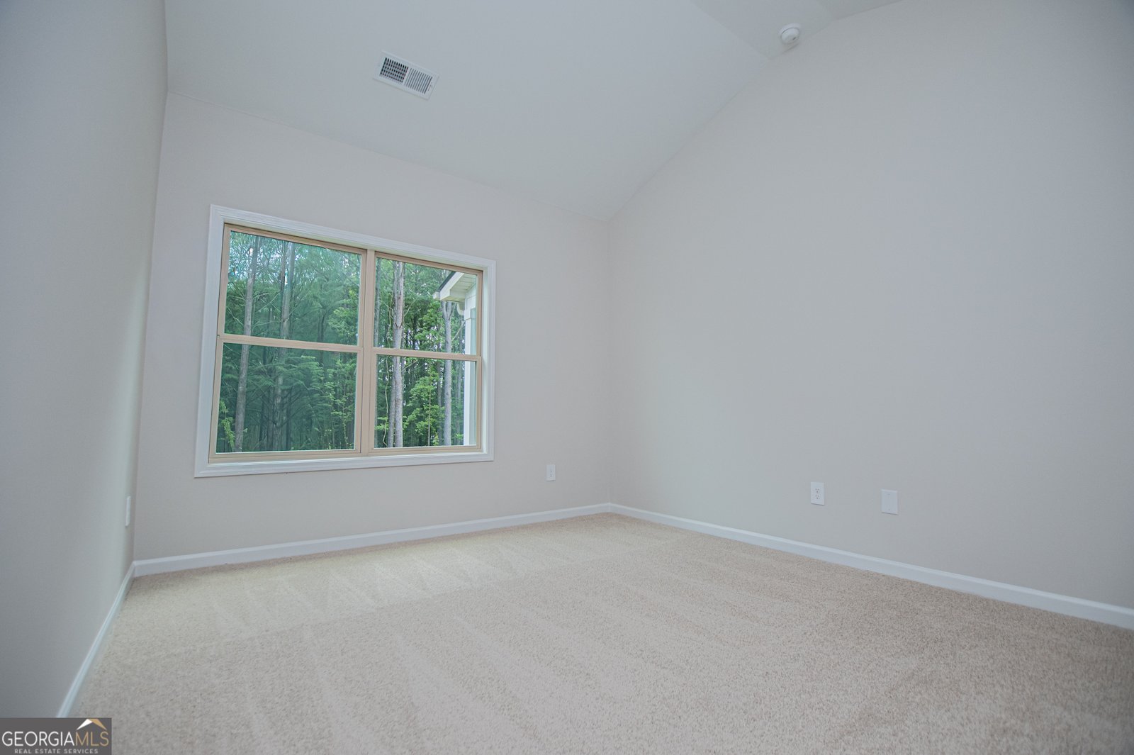 126 Woodford Drive Roopville - Photo 76