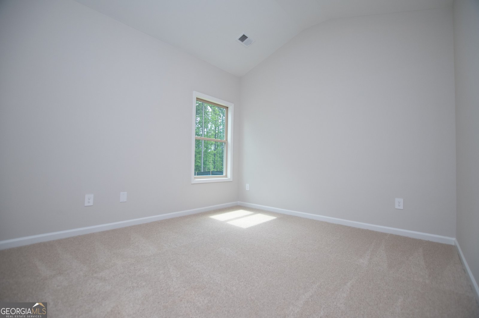 126 Woodford Drive Roopville - Photo 82