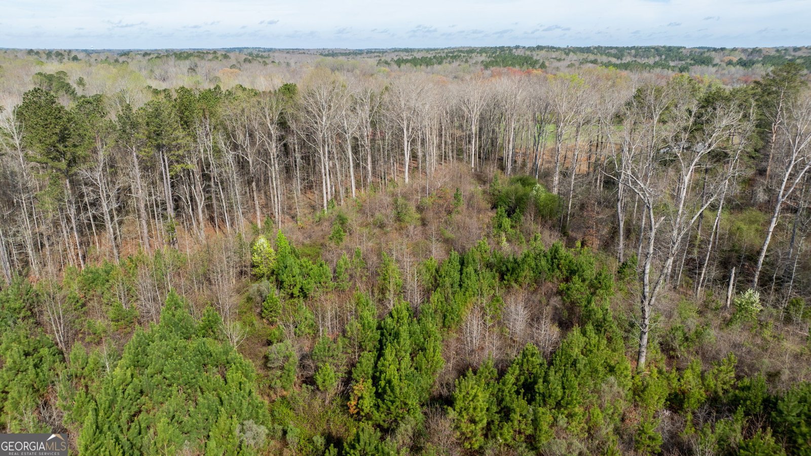 685 North McDonough Road Griffin - Photo 96