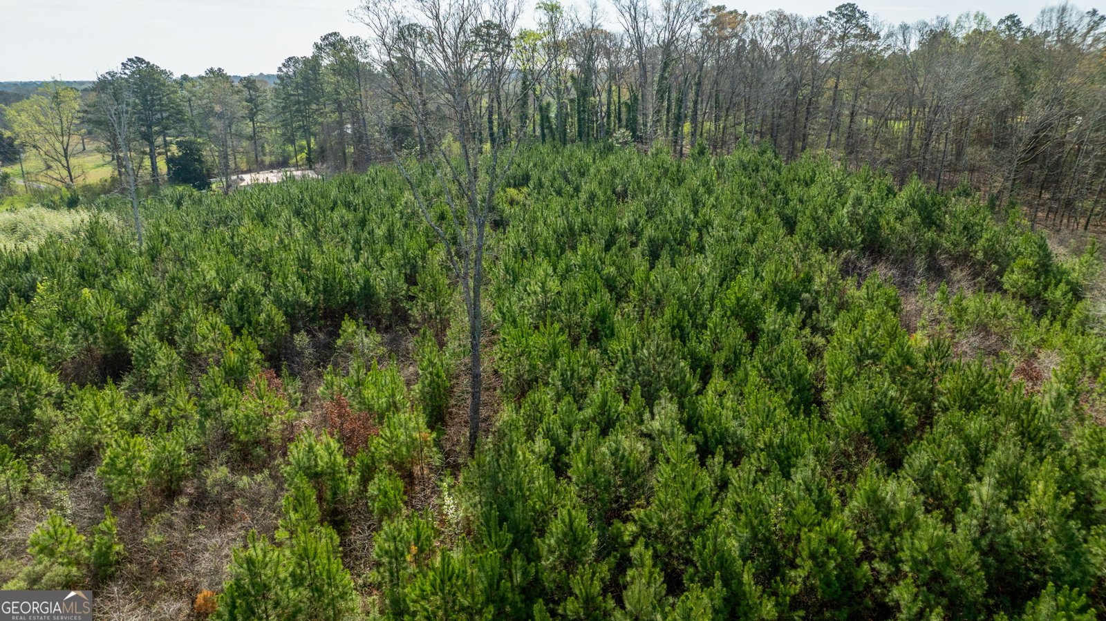 685 North McDonough Road Griffin - Photo 97