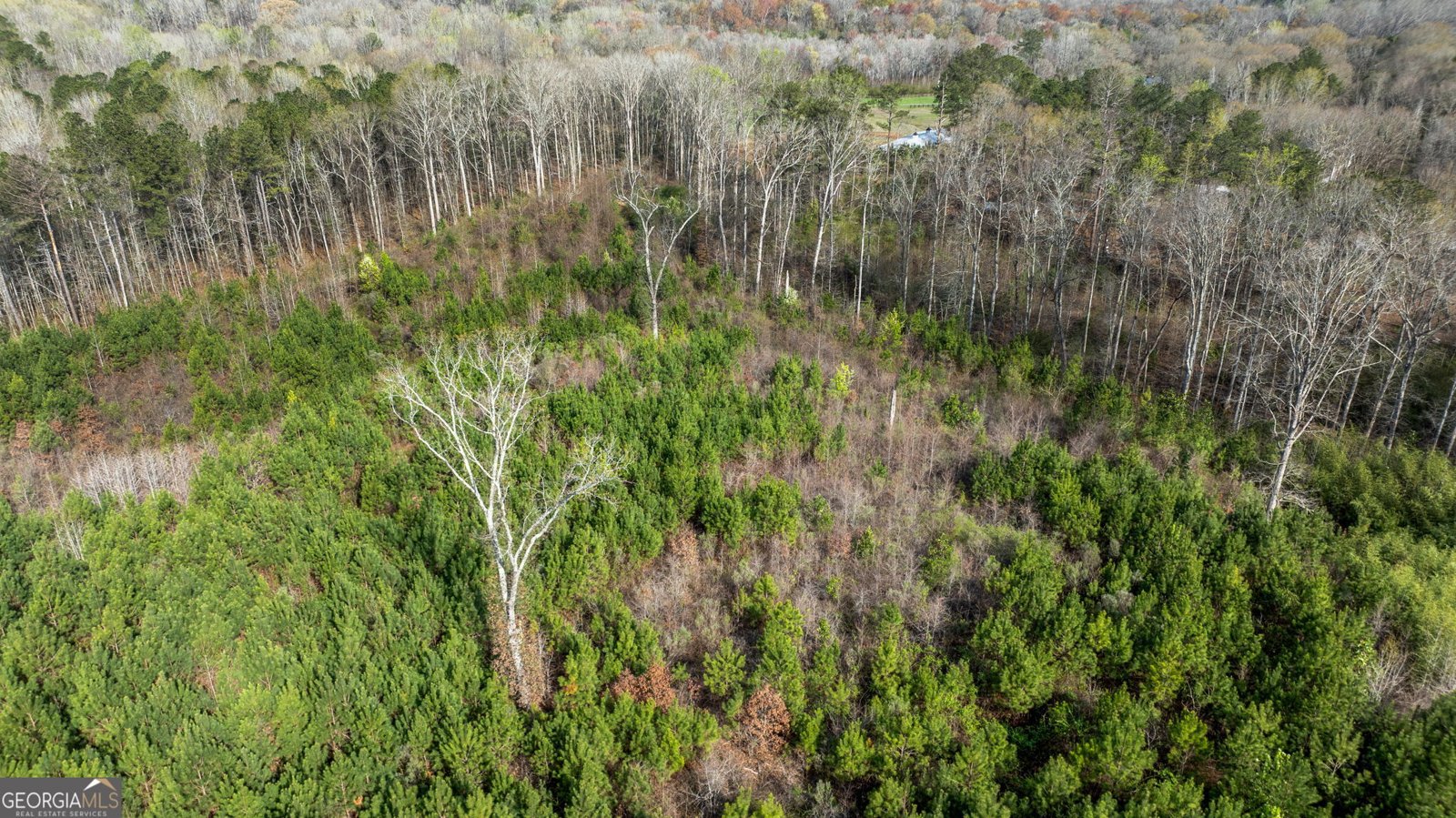 685 North McDonough Road Griffin - Photo 98