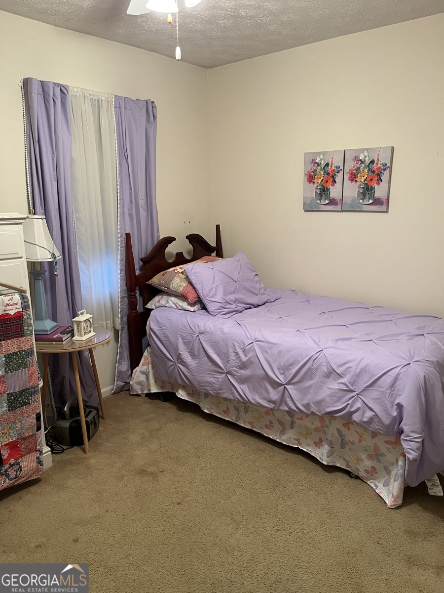 501 Carlton Road Palmetto - Photo 11