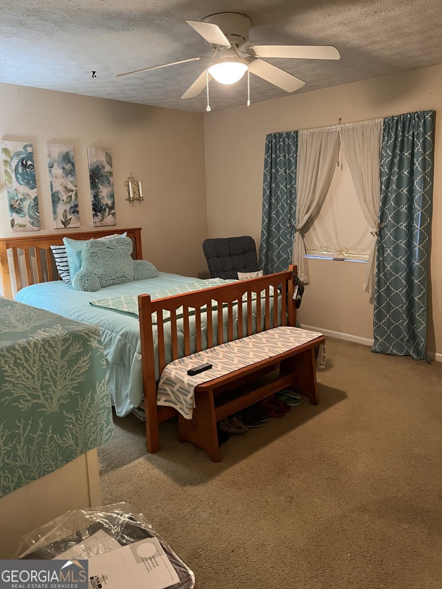 501 Carlton Road Palmetto - Photo 9