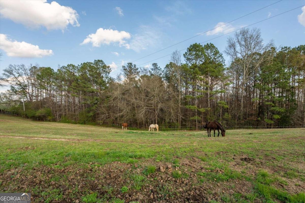 35 Saddleback Farms Newnan - Photo 75