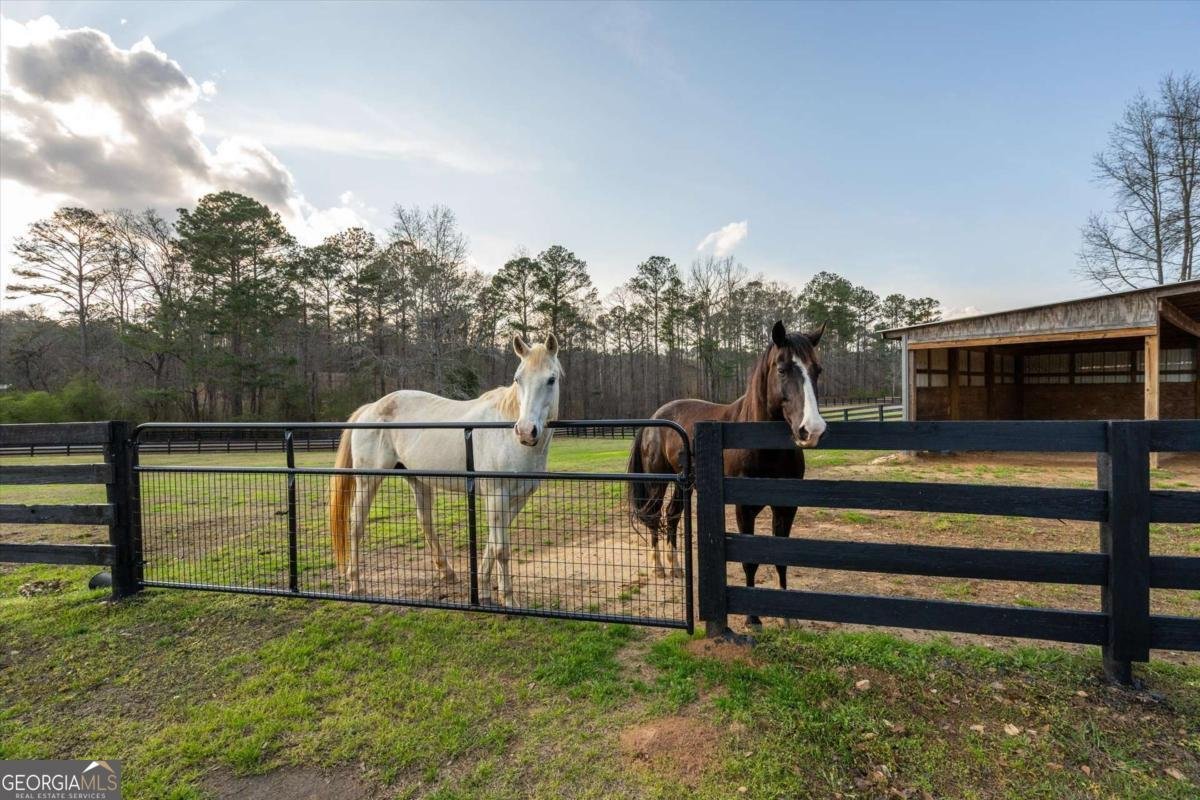 35 Saddleback Farms Newnan - Photo 76