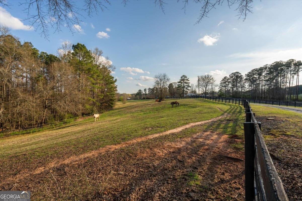 35 Saddleback Farms Newnan - Photo 77