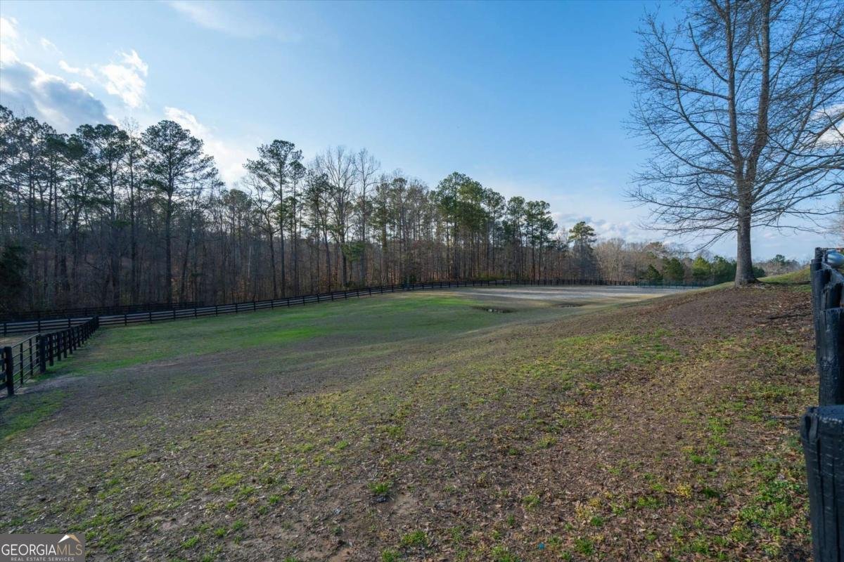 35 Saddleback Farms Newnan - Photo 78