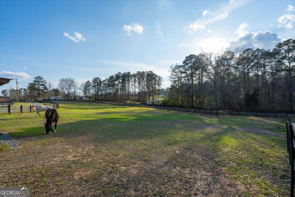 35 Saddleback Farms Newnan - Photo 79