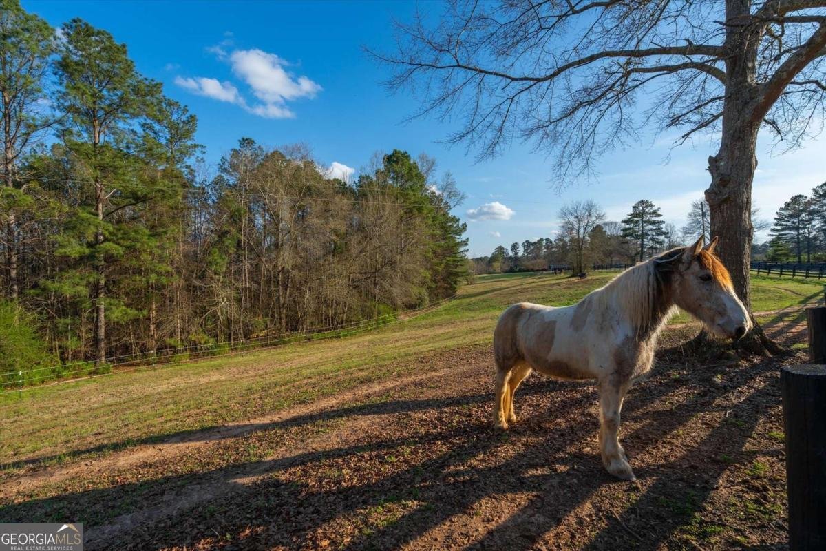 35 Saddleback Farms Newnan - Photo 80