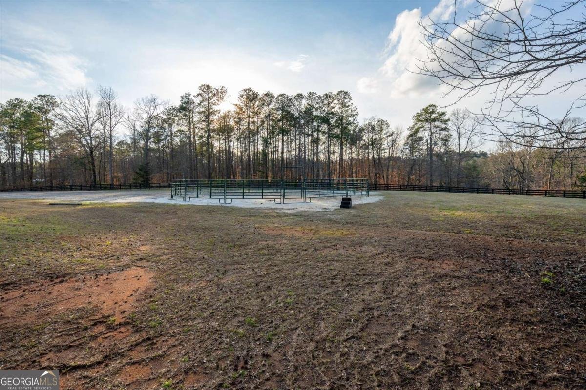 35 Saddleback Farms Newnan - Photo 81