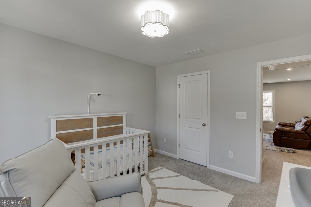 1628 Liberty Park Drive Braselton - Photo 32