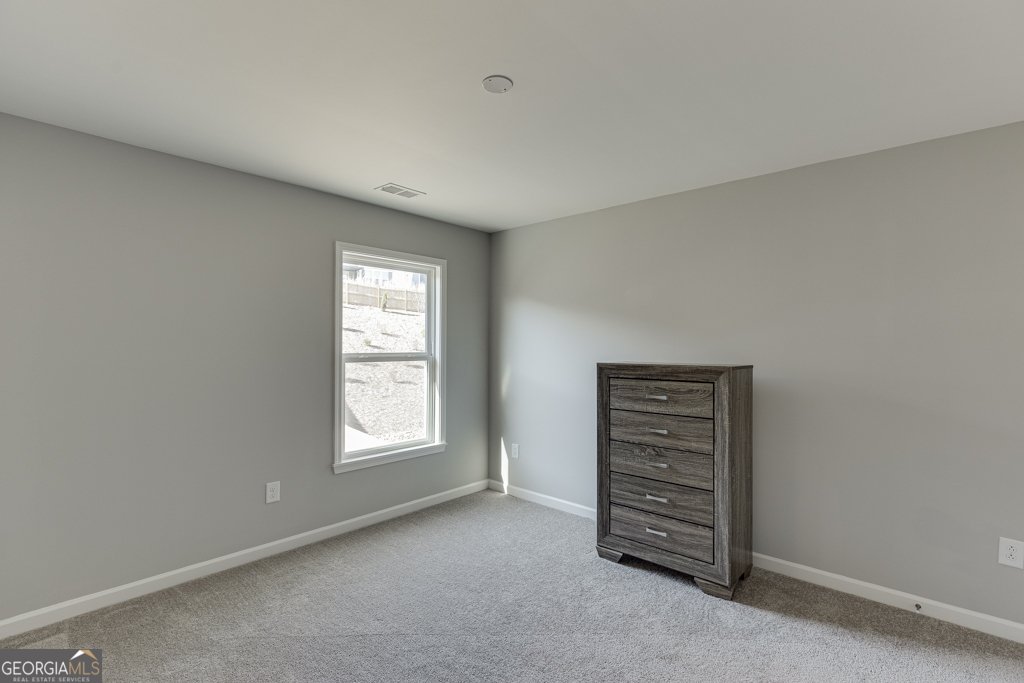 1628 Liberty Park Drive Braselton - Photo 36