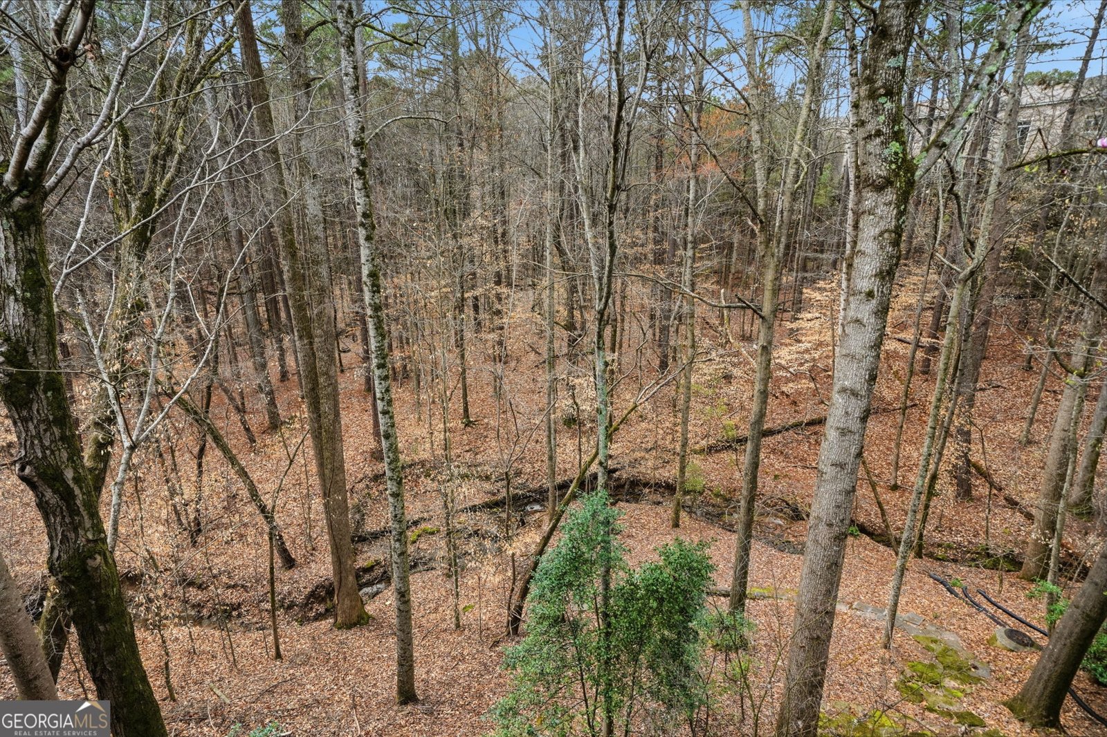 2910 Leeds Garden Lane Alpharetta - Photo 74