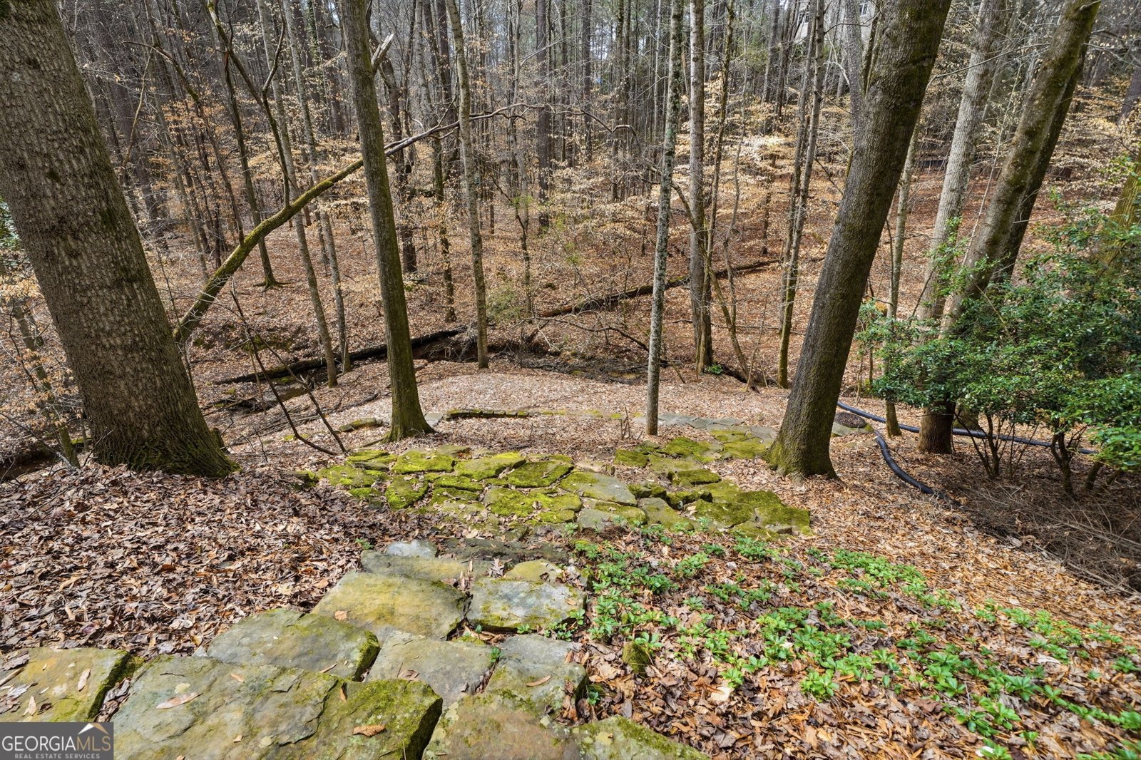 2910 Leeds Garden Lane Alpharetta - Photo 79