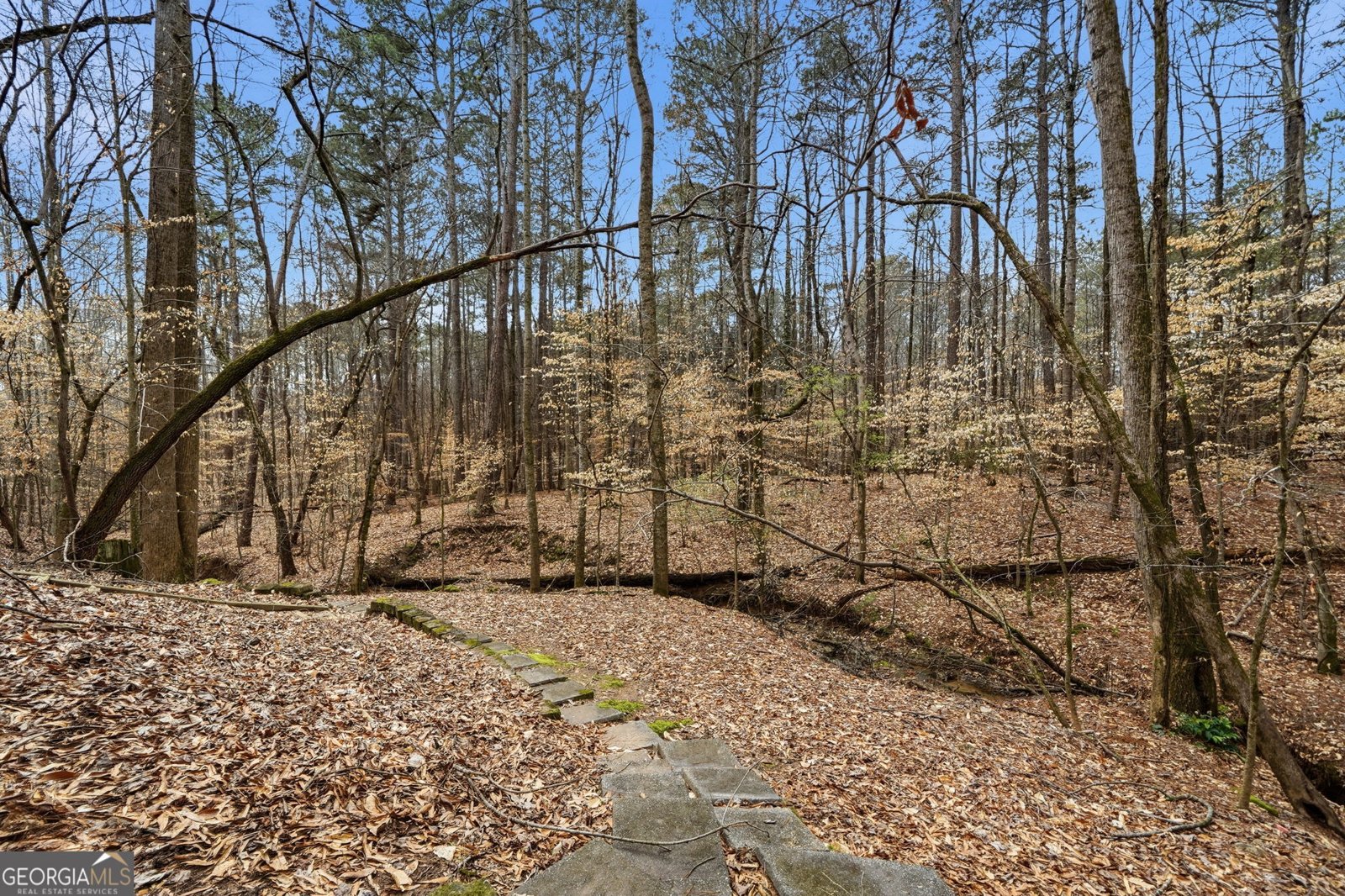 2910 Leeds Garden Lane Alpharetta - Photo 80