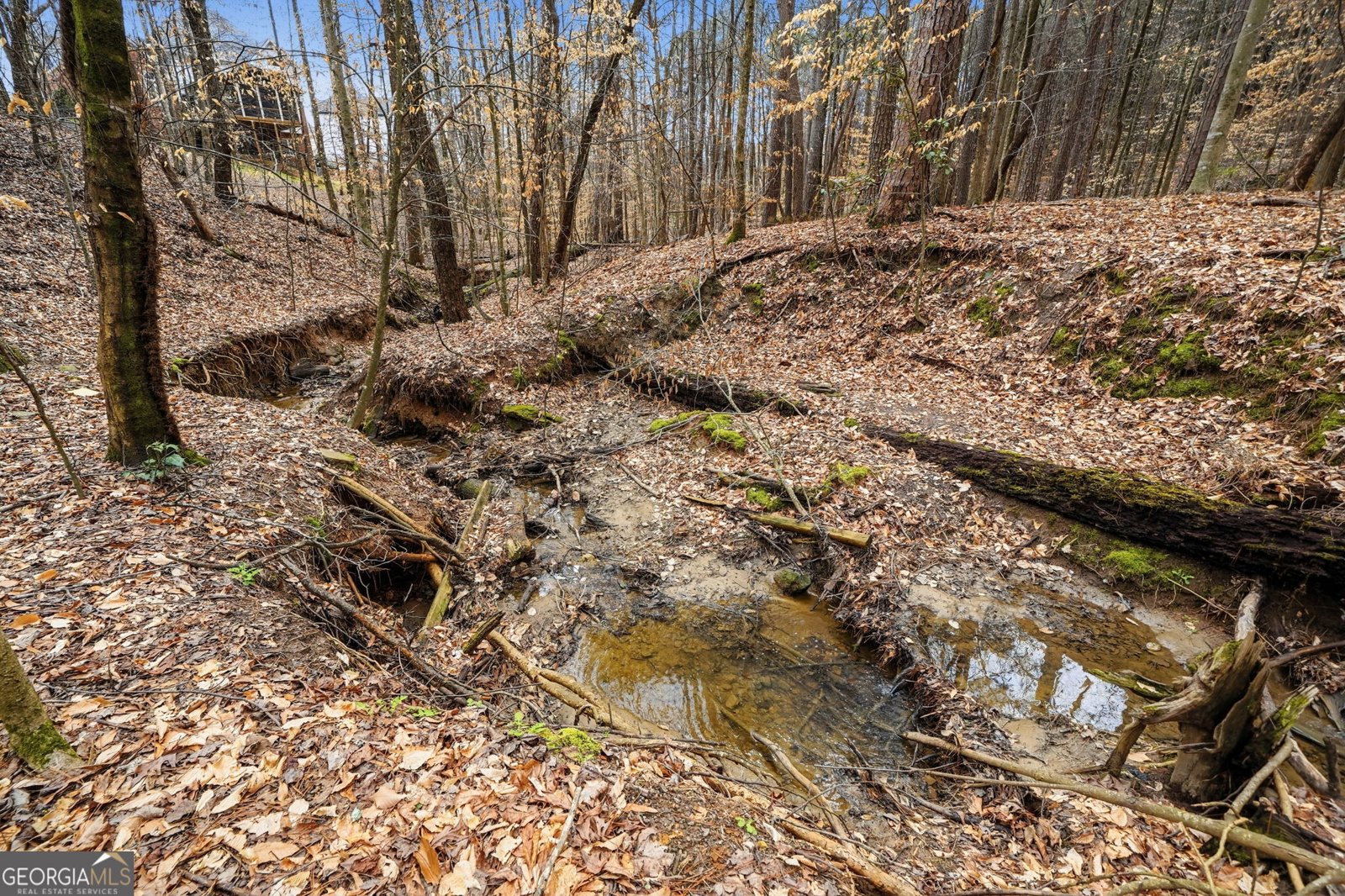 2910 Leeds Garden Lane Alpharetta - Photo 81