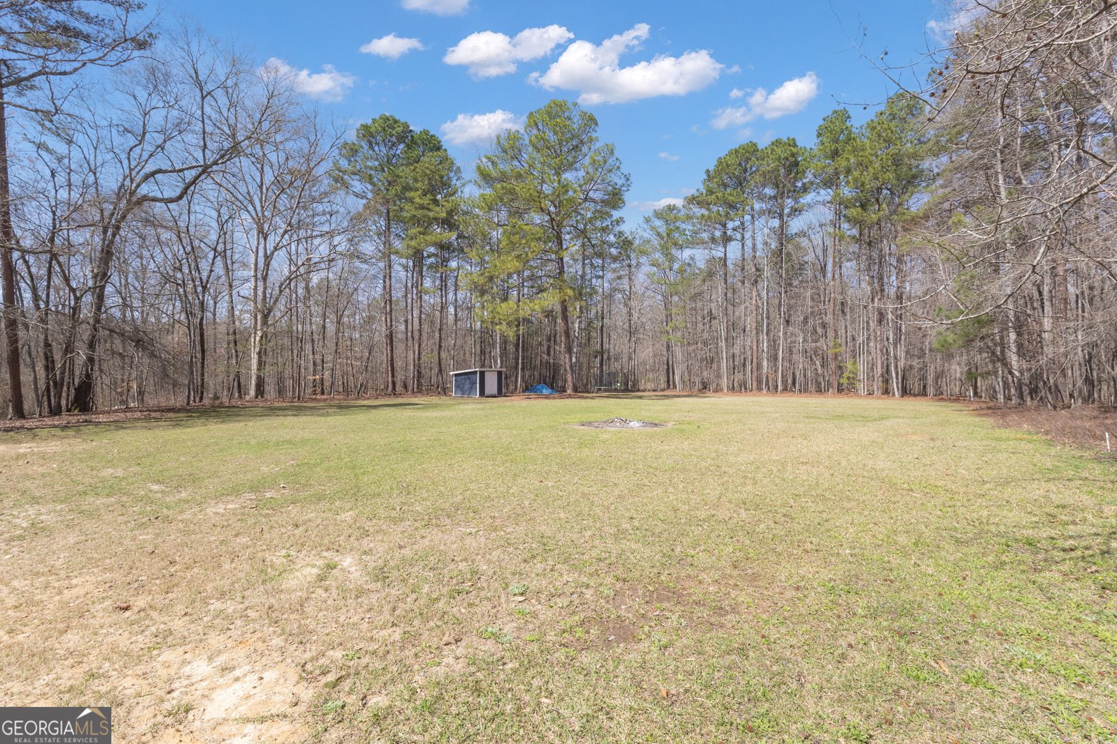 65 Tipperary Trail Sharpsburg - Photo 52