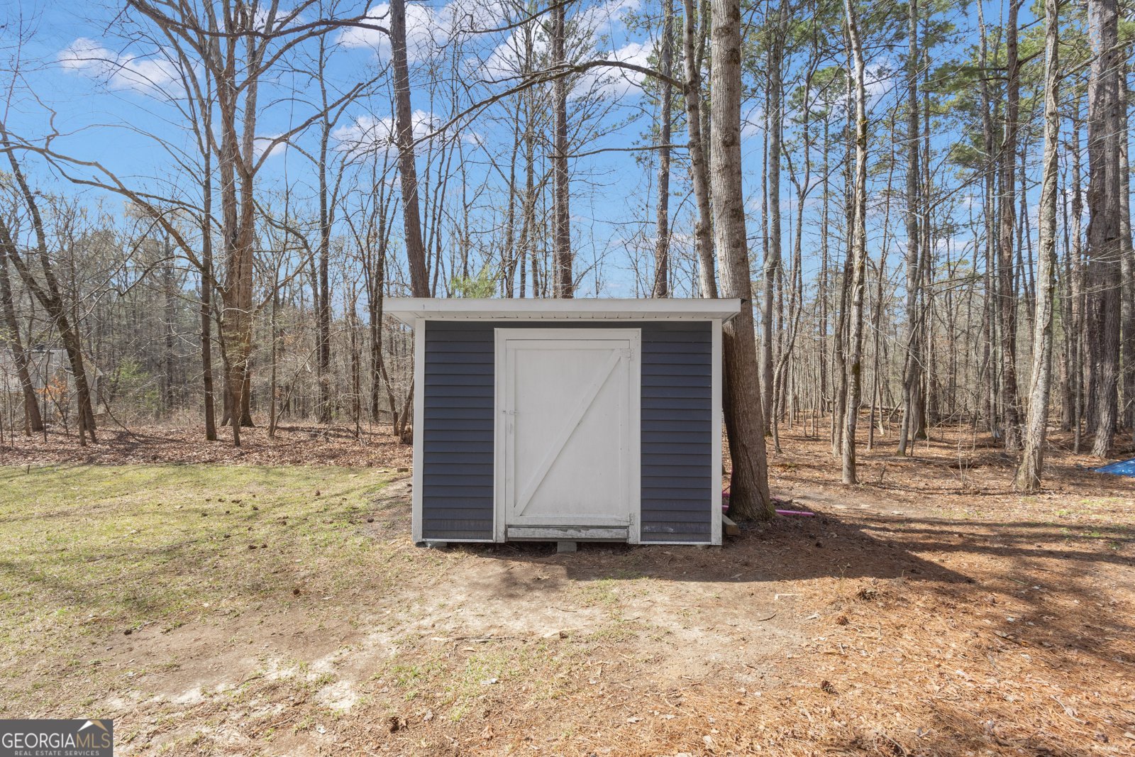 65 Tipperary Trail Sharpsburg - Photo 53