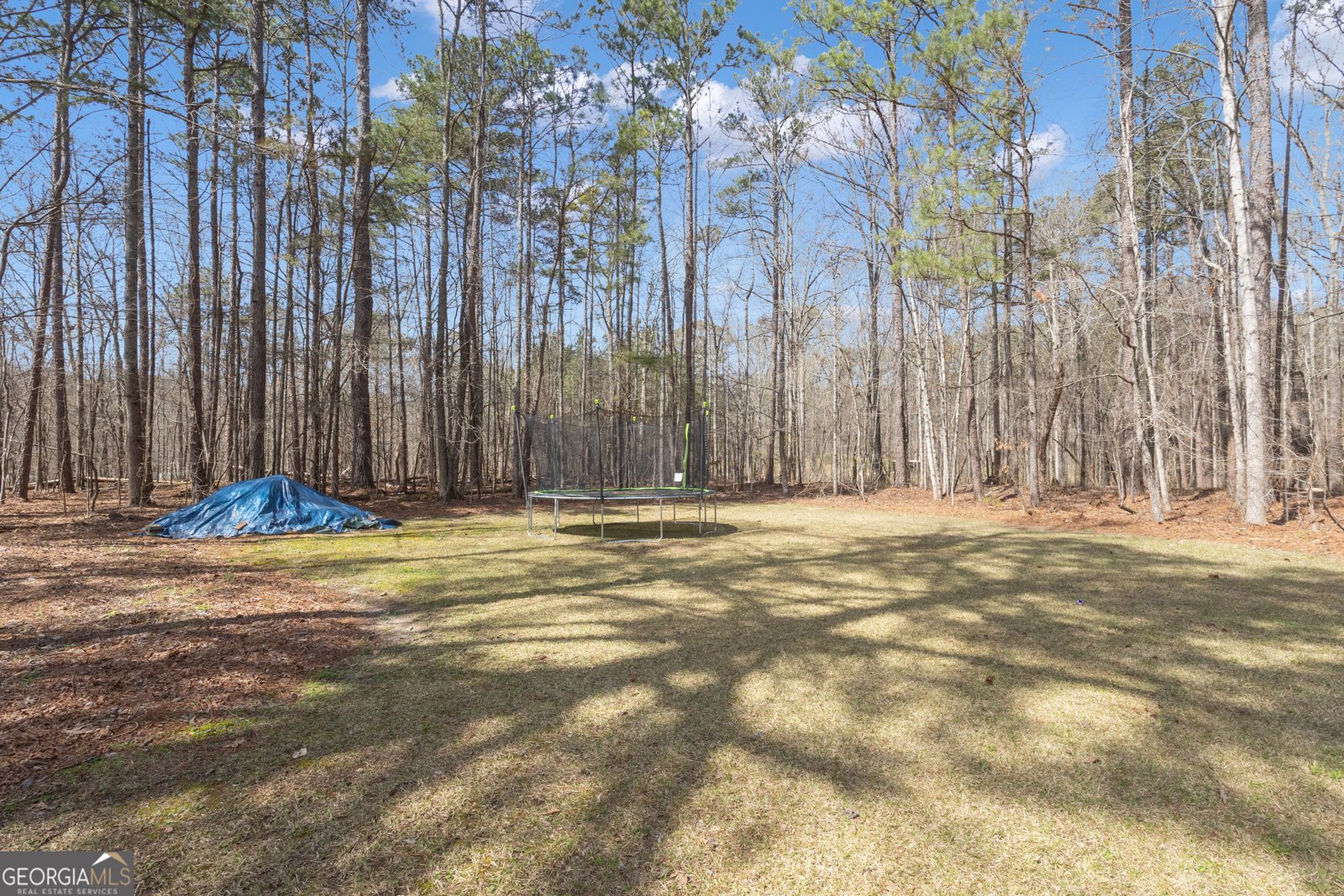 65 Tipperary Trail Sharpsburg - Photo 54