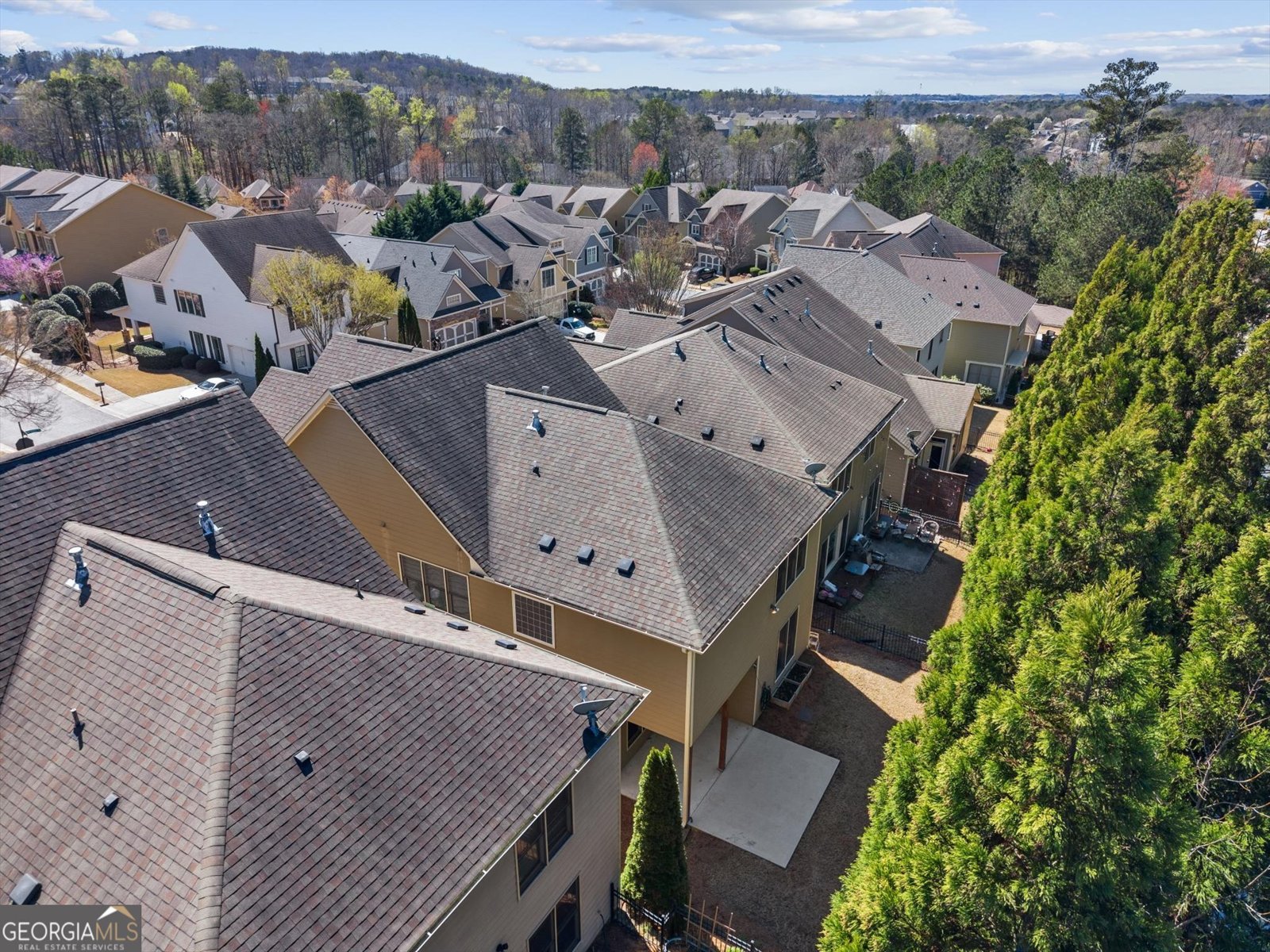 8505 Village School Drive Cumming - Photo 8