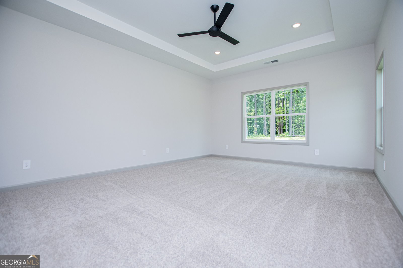 134 Woodford Drive Roopville - Photo 29