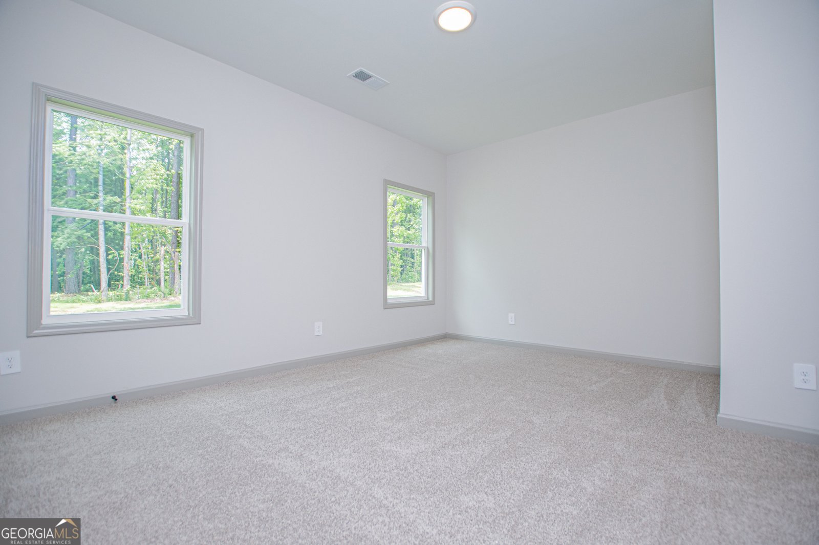 134 Woodford Drive Roopville - Photo 38