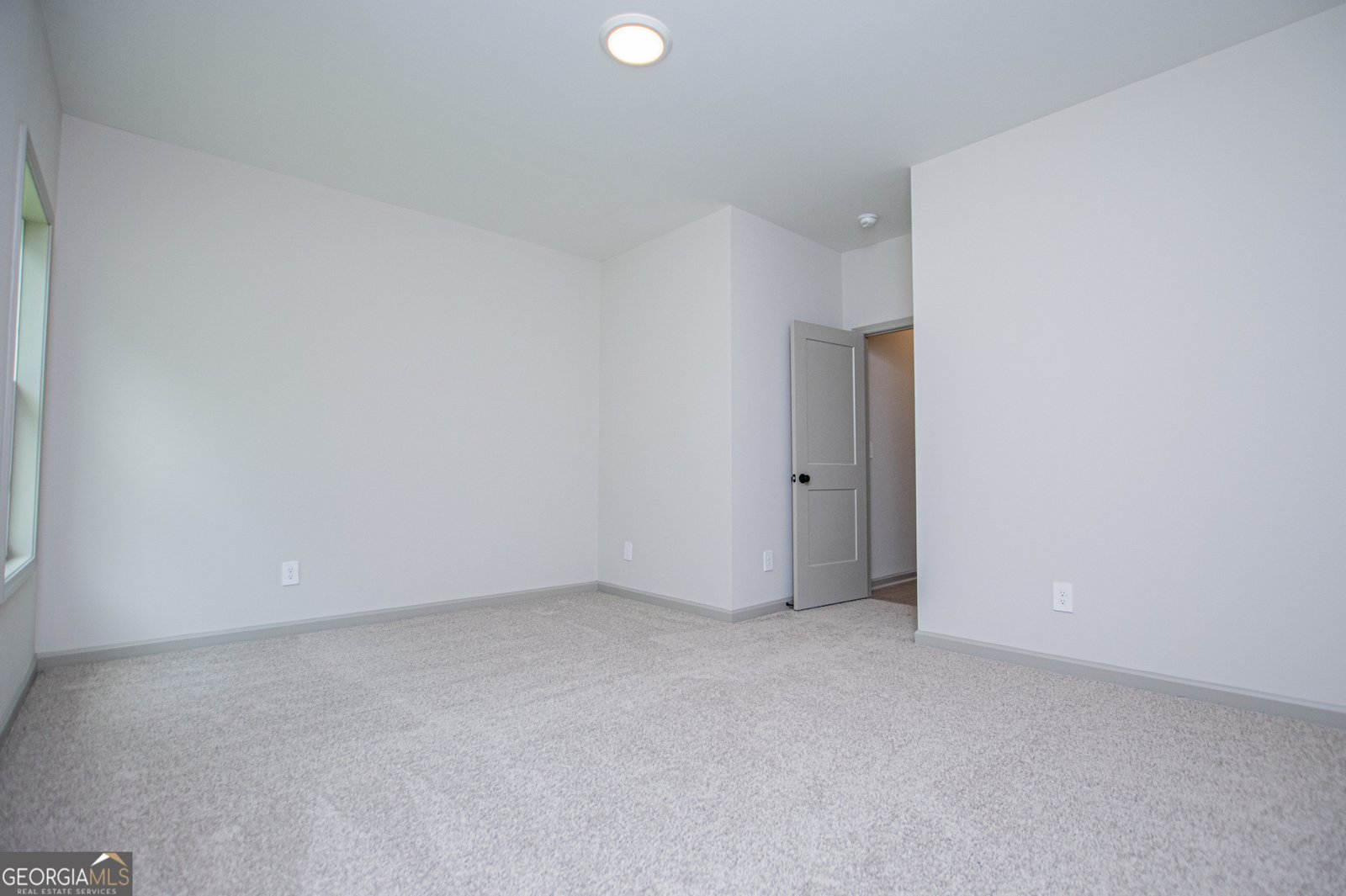 134 Woodford Drive Roopville - Photo 39