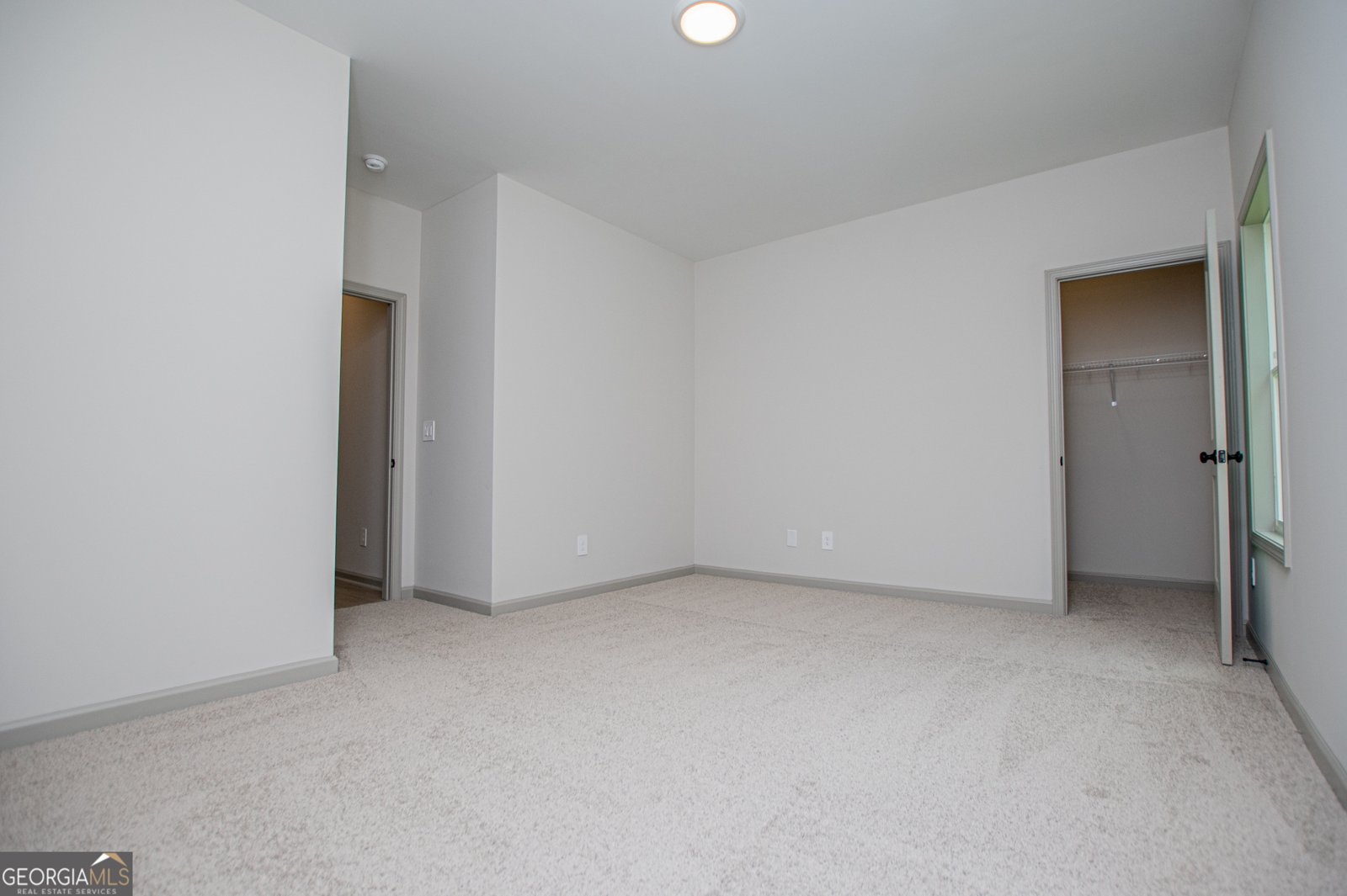 134 Woodford Drive Roopville - Photo 41