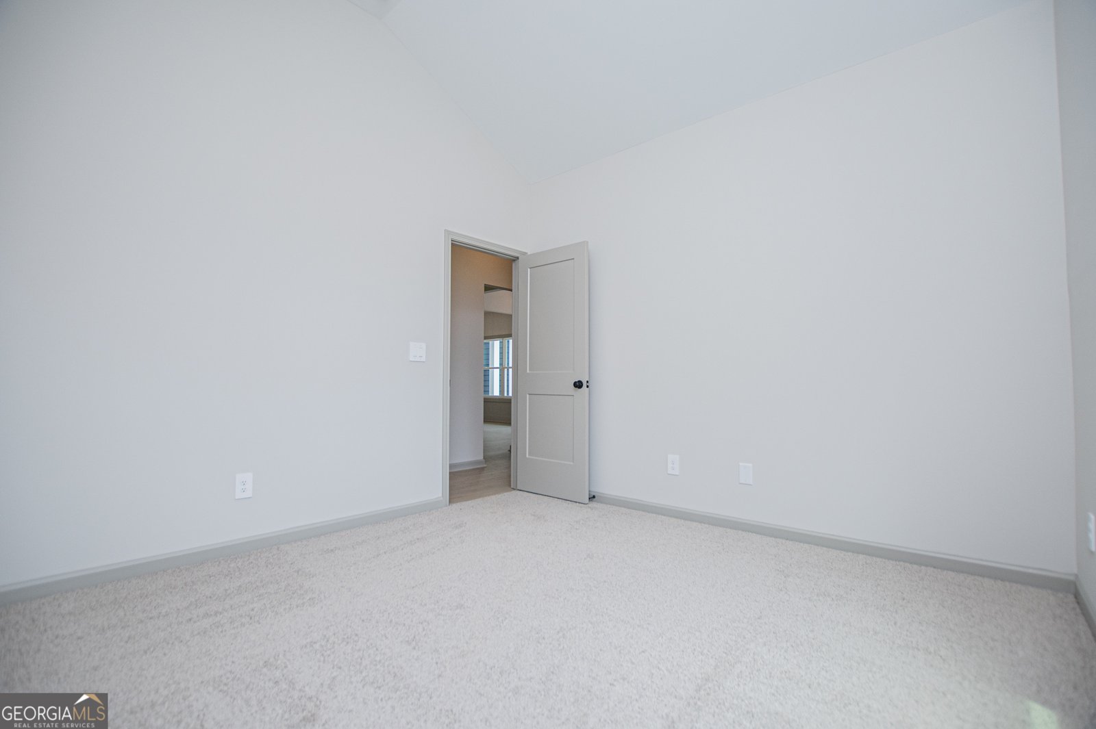 134 Woodford Drive Roopville - Photo 45