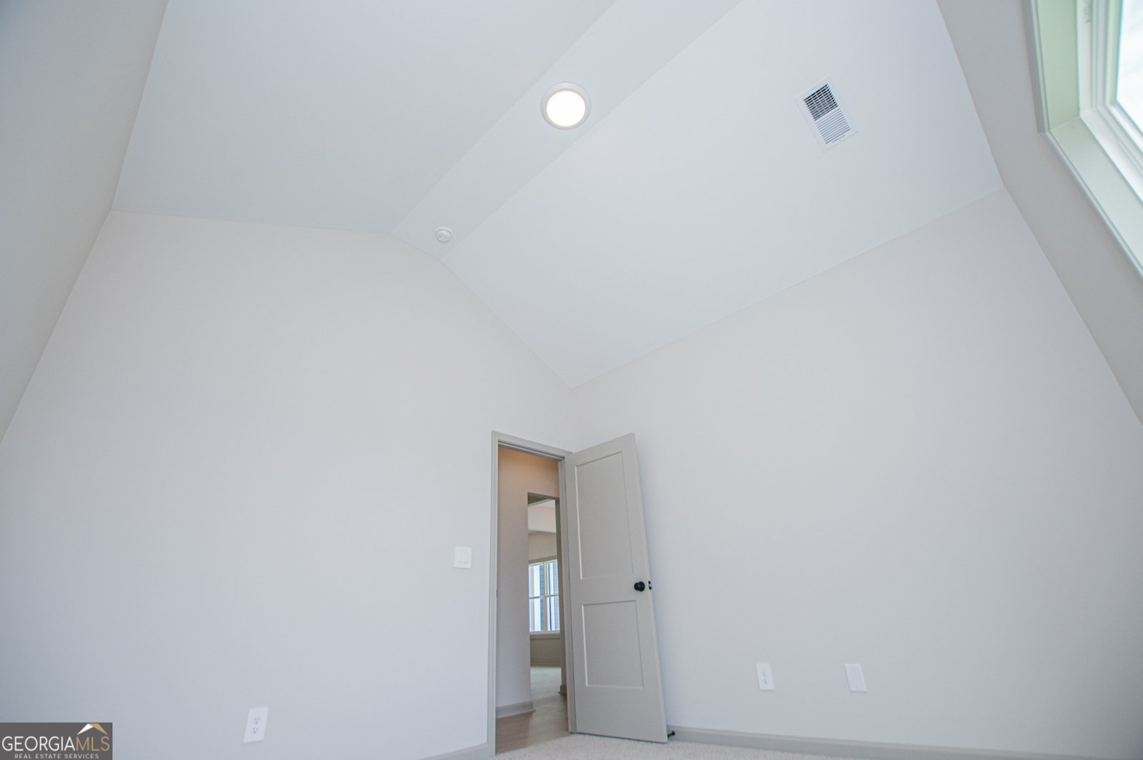 134 Woodford Drive Roopville - Photo 46