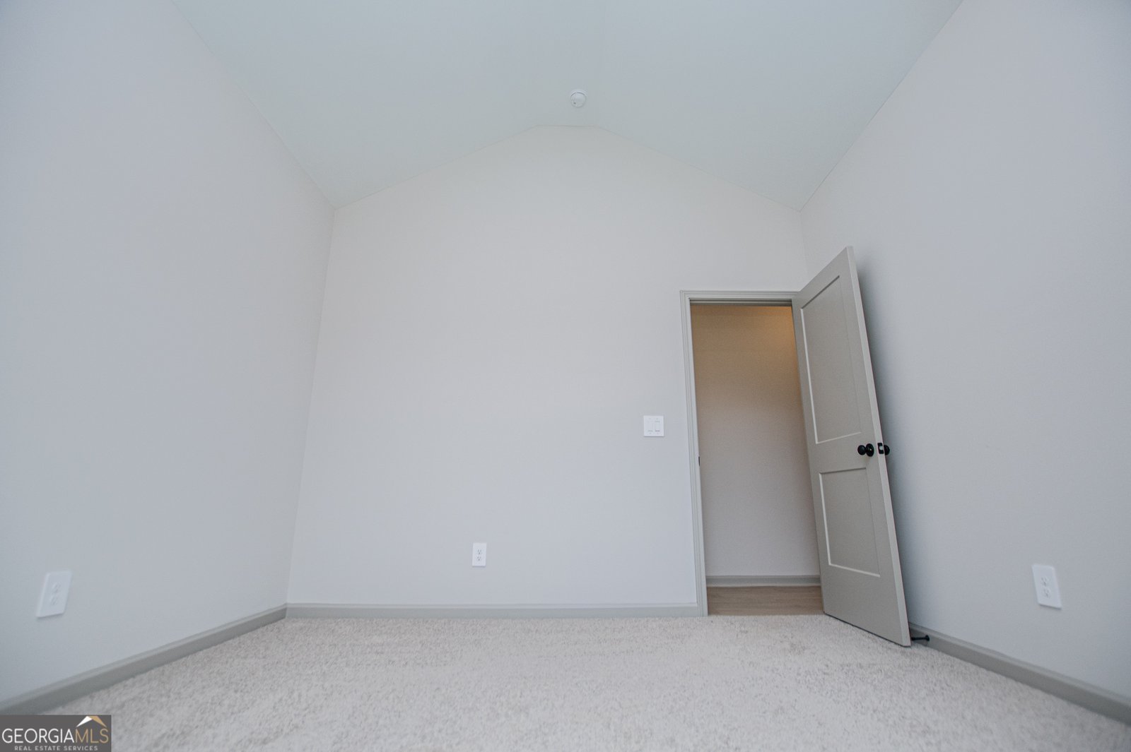 134 Woodford Drive Roopville - Photo 47