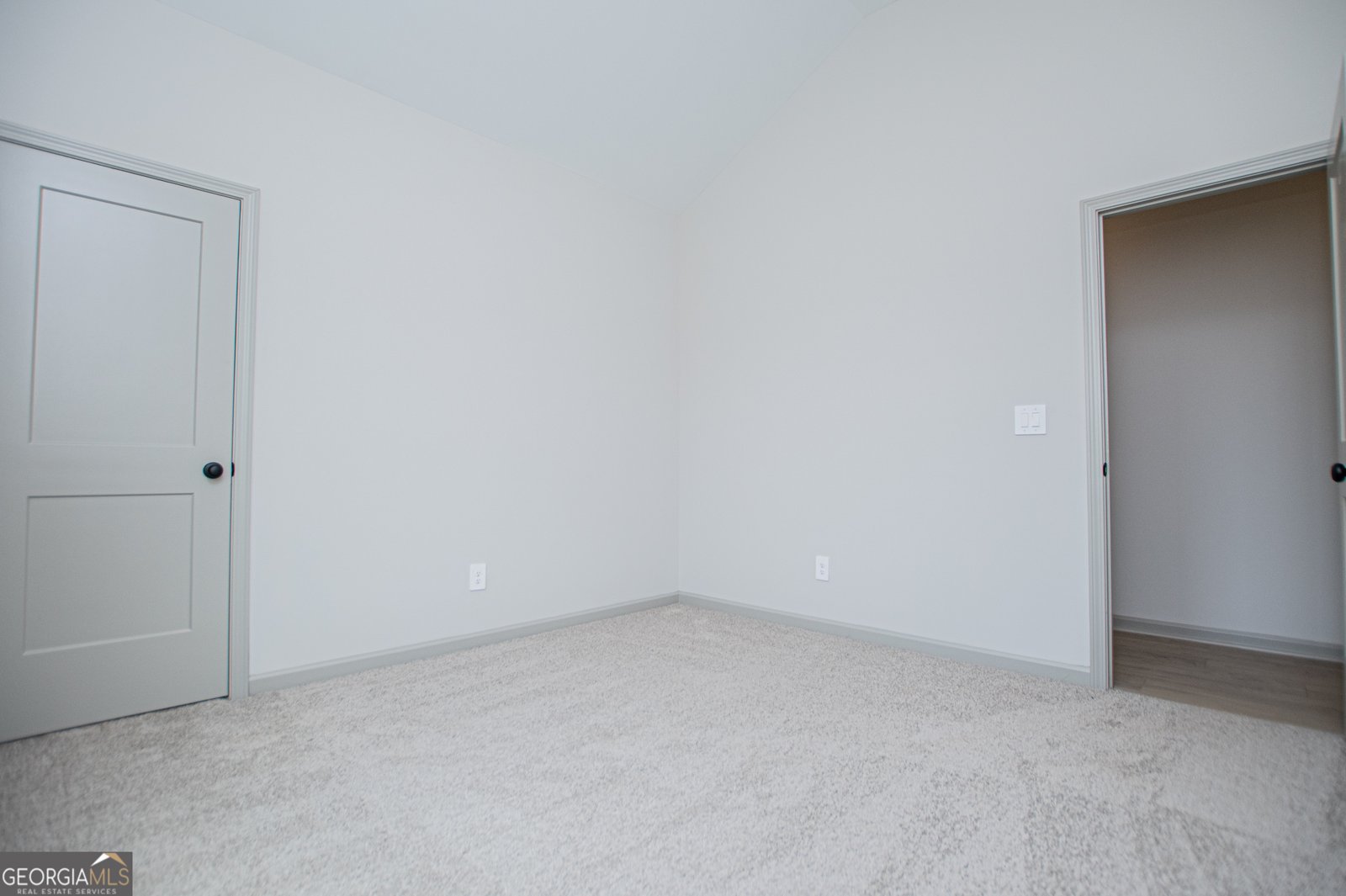 134 Woodford Drive Roopville - Photo 48
