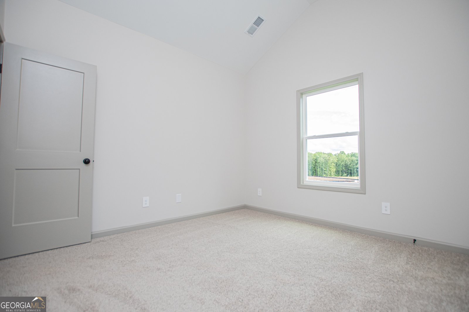 134 Woodford Drive Roopville - Photo 49