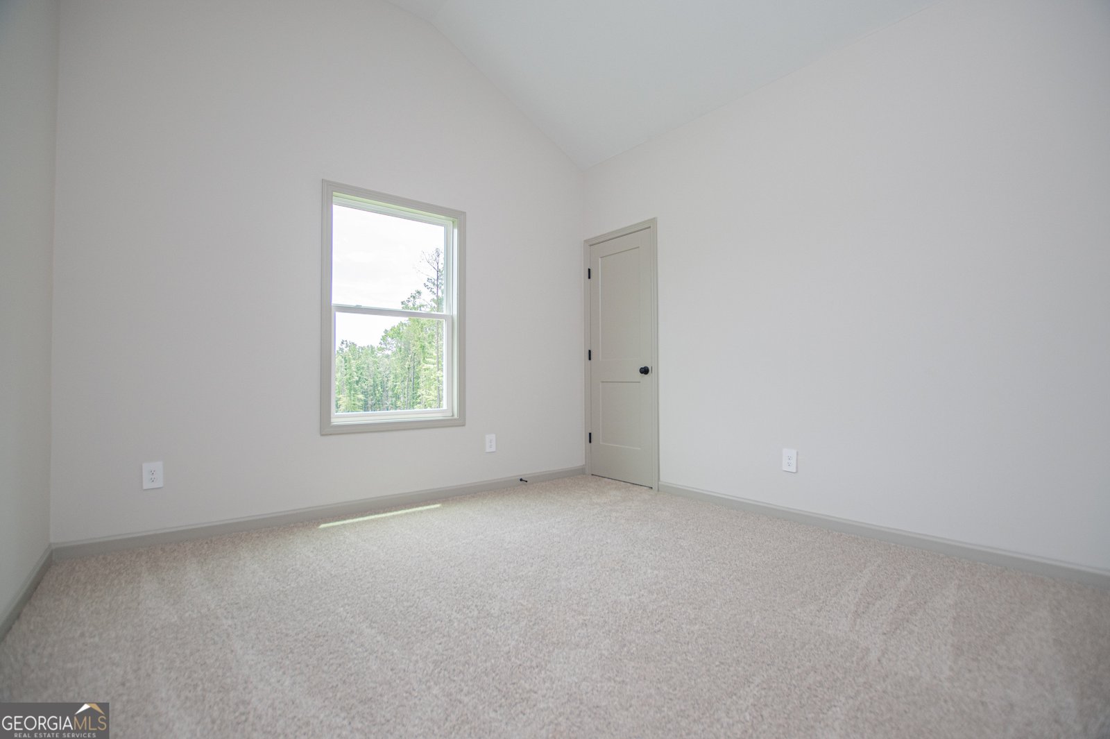 134 Woodford Drive Roopville - Photo 50