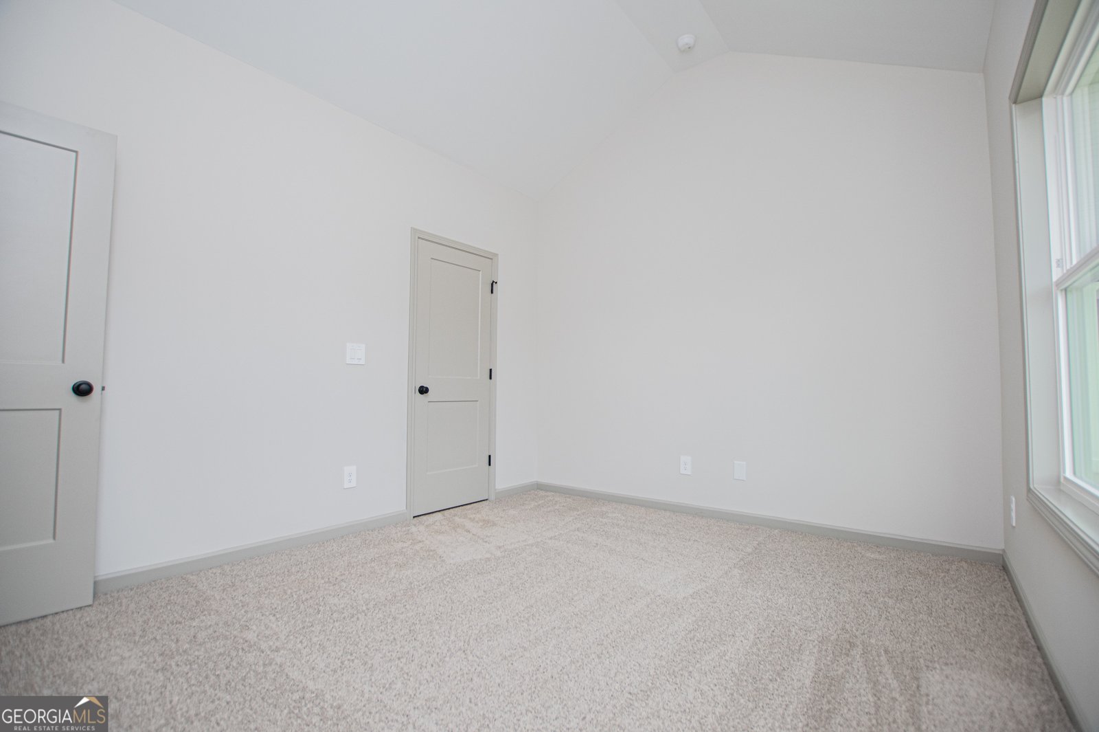 134 Woodford Drive Roopville - Photo 60