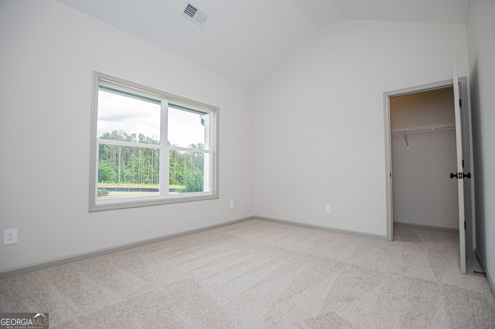 134 Woodford Drive Roopville - Photo 62