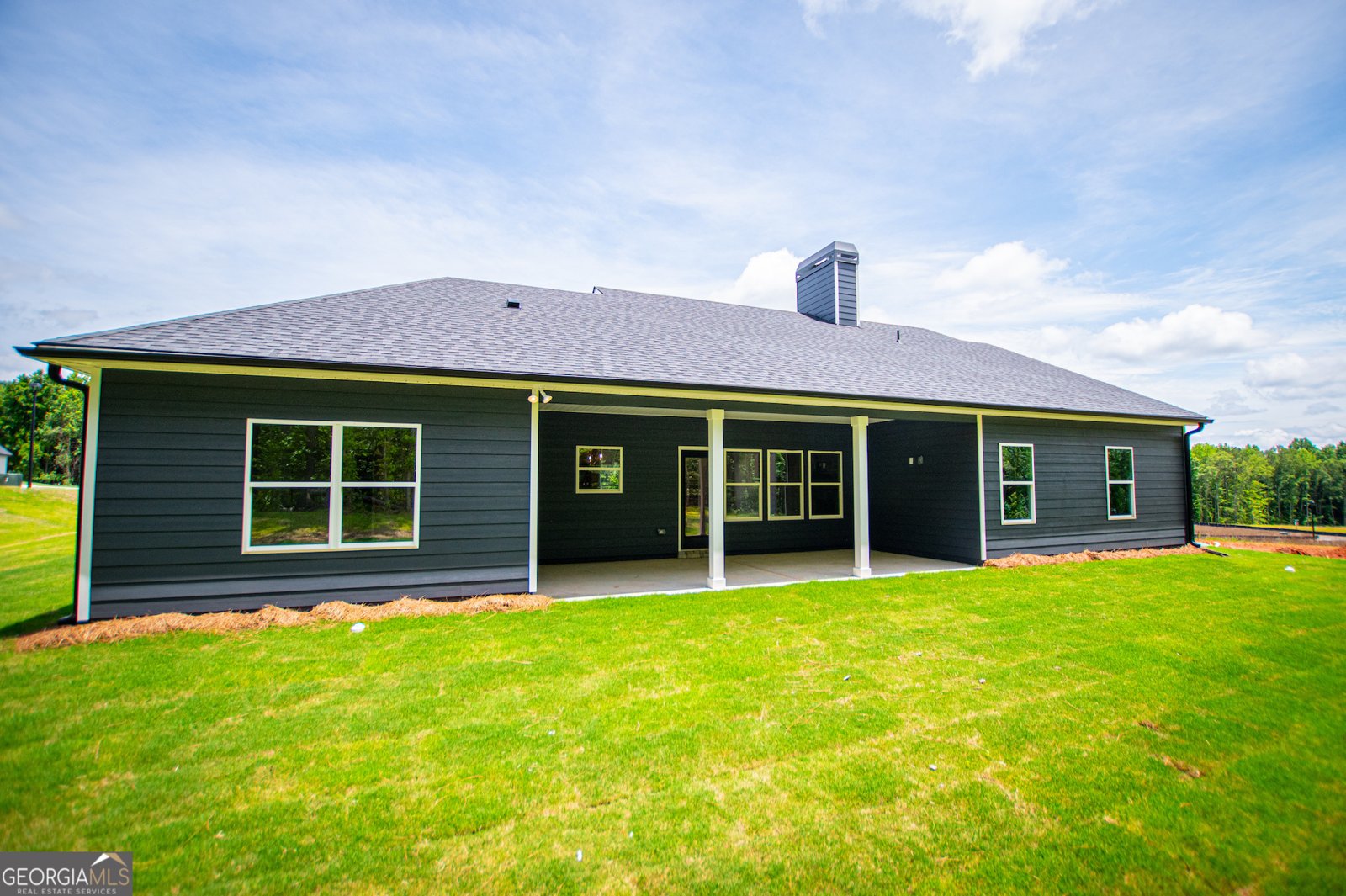 134 Woodford Drive Roopville - Photo 87