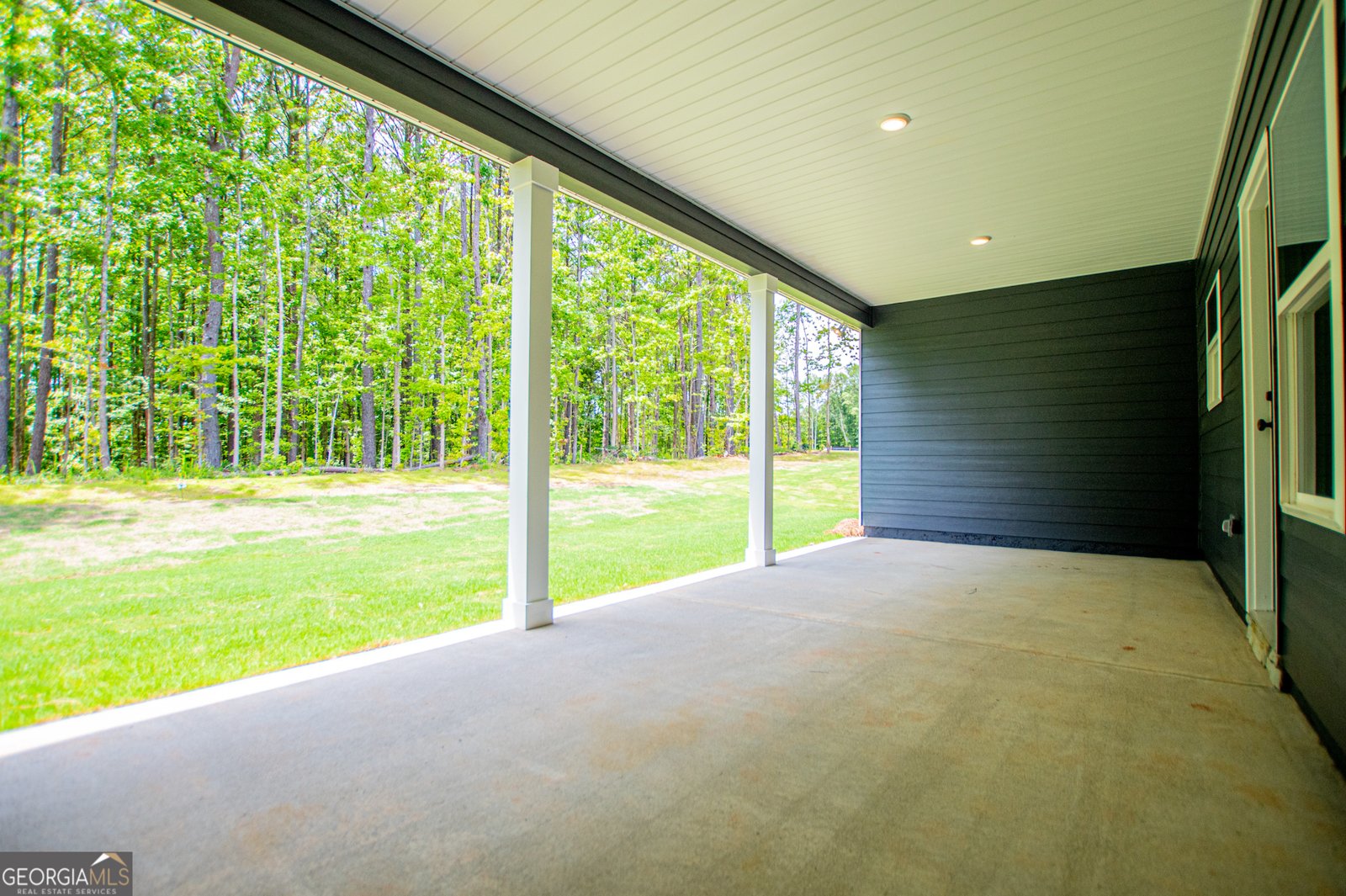 134 Woodford Drive Roopville - Photo 89
