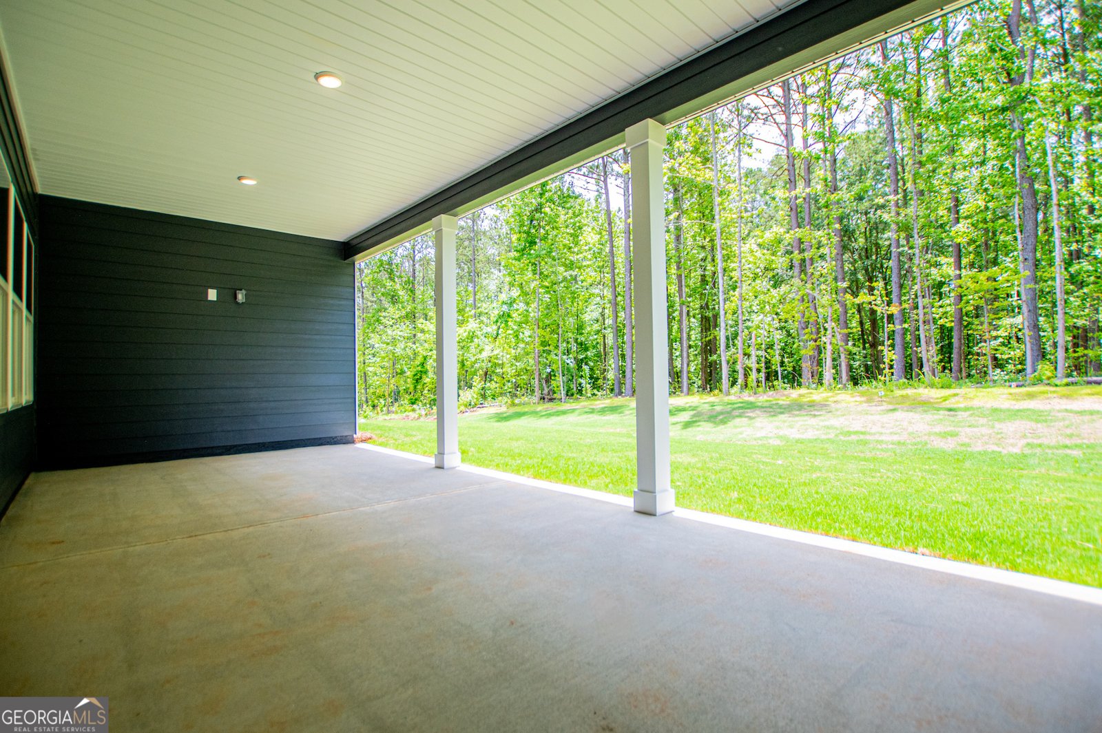 134 Woodford Drive Roopville - Photo 92