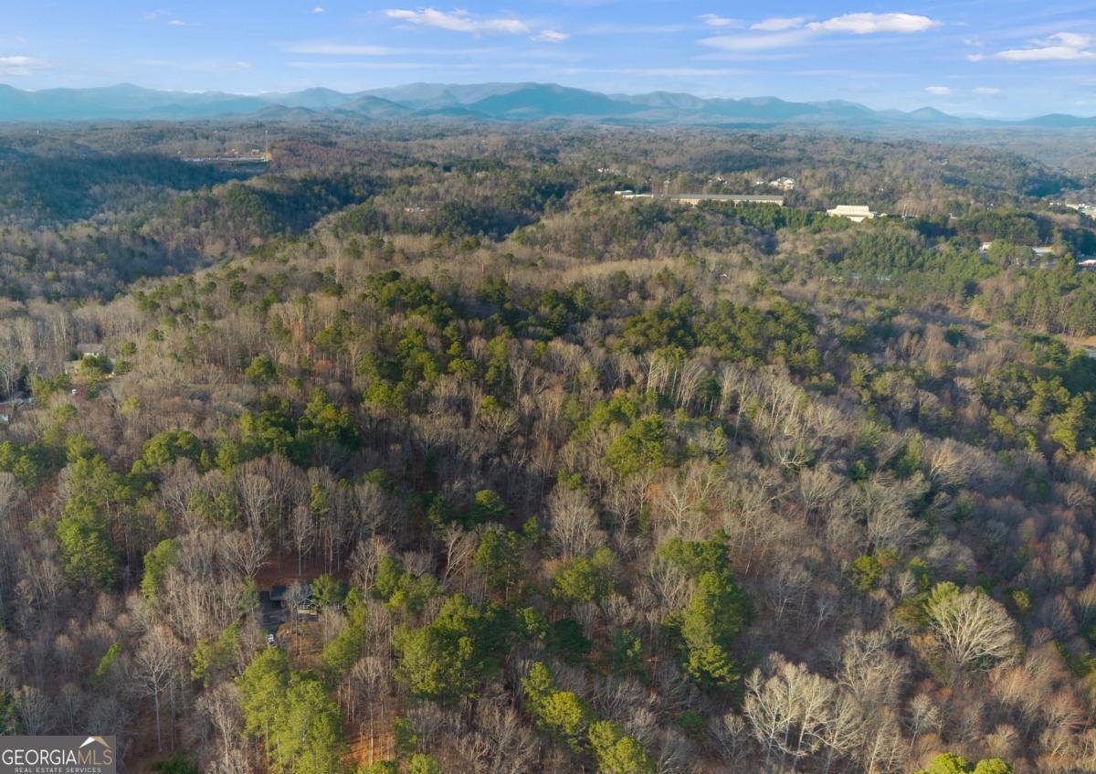 236 Ellington Road Ellijay - Photo 37